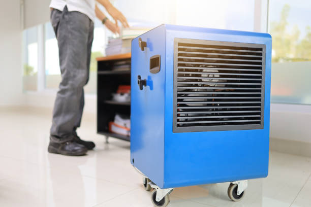 Best Commercial Mold Inspection  in Fraser, MI