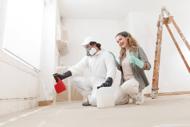 Best Industrial Mold Remediation  in Fraser, MI
