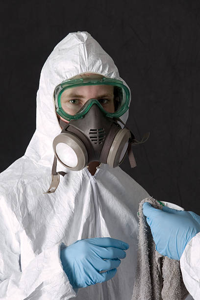 Best Attic Mold Removal  in Fraser, MI